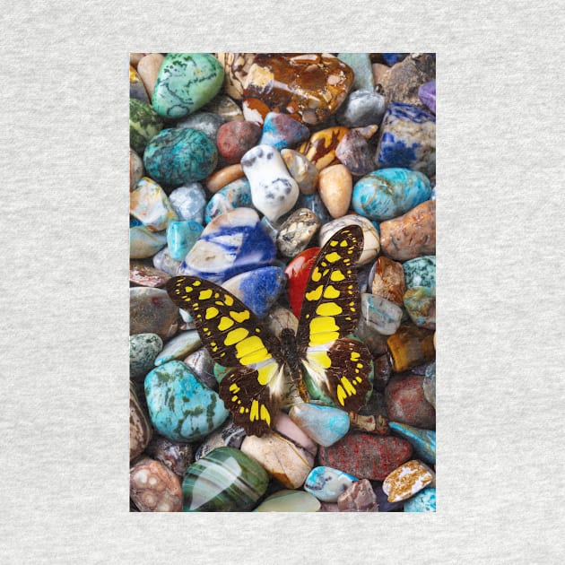 Yellow And Black Butterfly On Polished Stones by photogarry